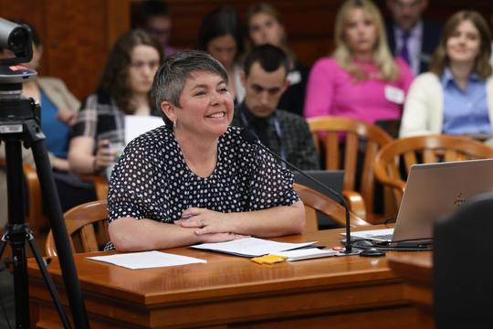 State Rep. Betsy Coffia testifies in the House Elections Committee.
