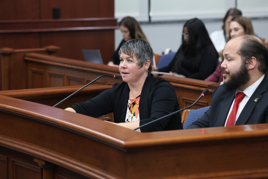 State Rep. Betsy Coffia testifies in the Senate Civil Rights, Judiciary, and Public Safety Committee.