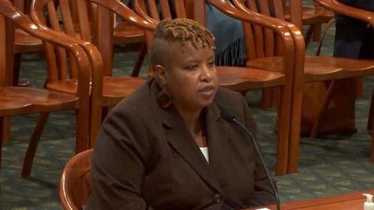 Testifying committee Rhengains