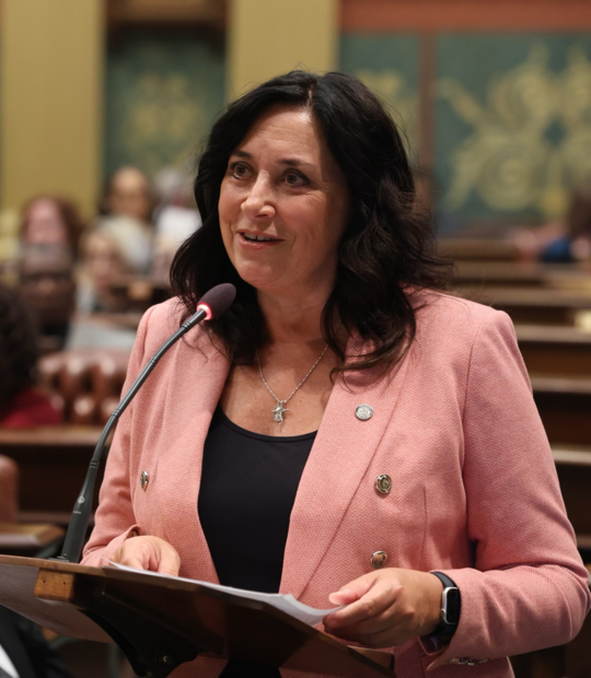 Rep. Witwer gives floor speech in MI House of Representatives.