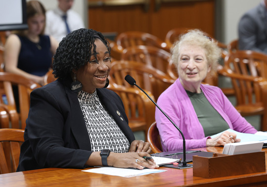 Rep. Stephanie A. Young (D-Detroit)