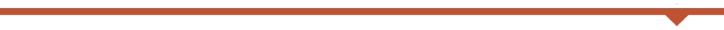Section divider - orange (skinny)