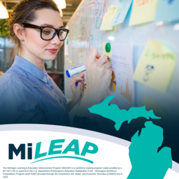 MiLEAP graphic