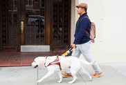 Man in a hat and backpack walking with a leader dog in a city setting