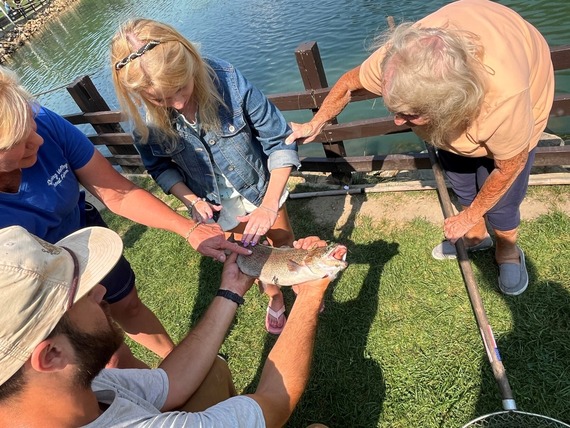 Overhead view of people looking at a fish in a man's hands