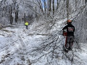 Person cutting down icy trees