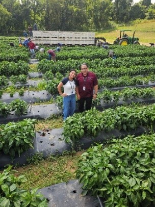 Gerry Aranda and Katalina standing in the middle of rows of peppers