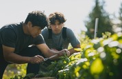 Two people standing in a field and looking at plants