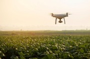 Drone flying over farm land