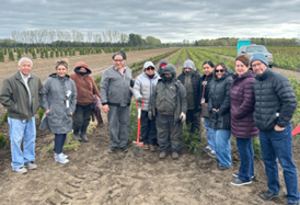 SMAs, outreach workers, managers from other states and local workers planting ornamental pines