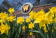 Western Michigan University logo on building with yellow tulips in front of it