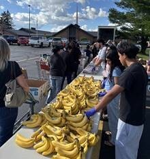 Someone distributing bananas at outdoor event