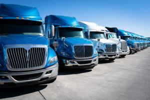 Row of parked trucks
