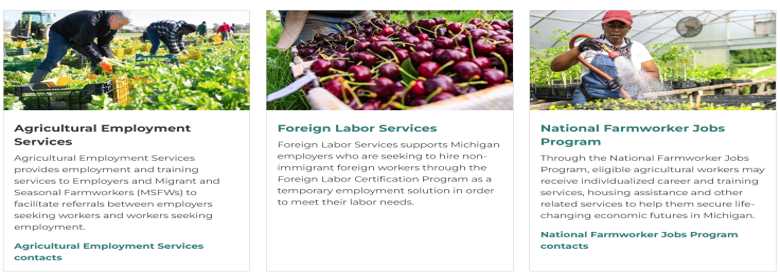 AFLS homepage screen grab of the different types of services offered