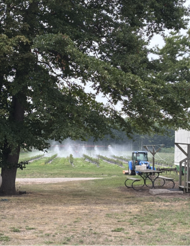 Tree and picnic table with mist covering fields of plants in the background