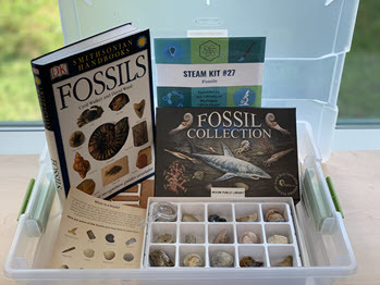STEAM fossils kit from Wixom Library