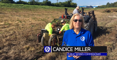 srdu