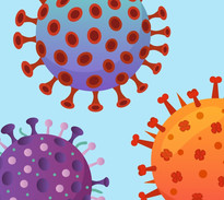 Stay Safe this Holiday Season