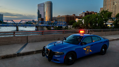 Blue Goose in front of blue bridge