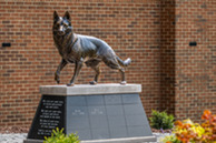 Canine Memorial