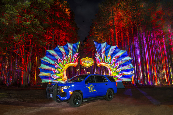 Blue Goose in front of Electric Forest Festival