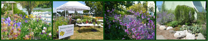 MSU Tollgate Gardens Banner (Lg)