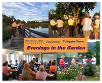 Tollgate - Evenings in the Garden