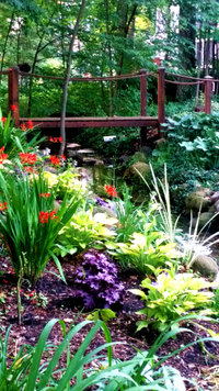 Water Feature Garden