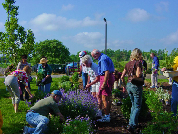 People at the Tollgate Plant Sale