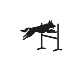 Dog Agility 