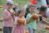 Tollgate Farm Pumpkinfest