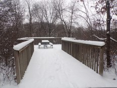 waterford oaks winter