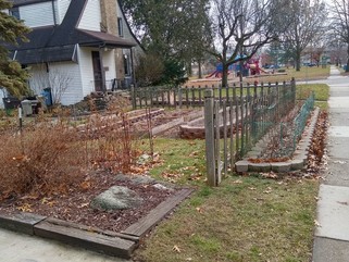 Raised Garden Bed