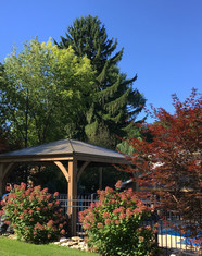 Troy Garden Tour 2020