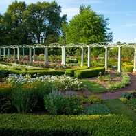 Meadowbrook Rose Garden 2