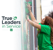Michigan 4-H #DareToServeChallenge to be issued in April as part of the national 4-H True Leaders in Service