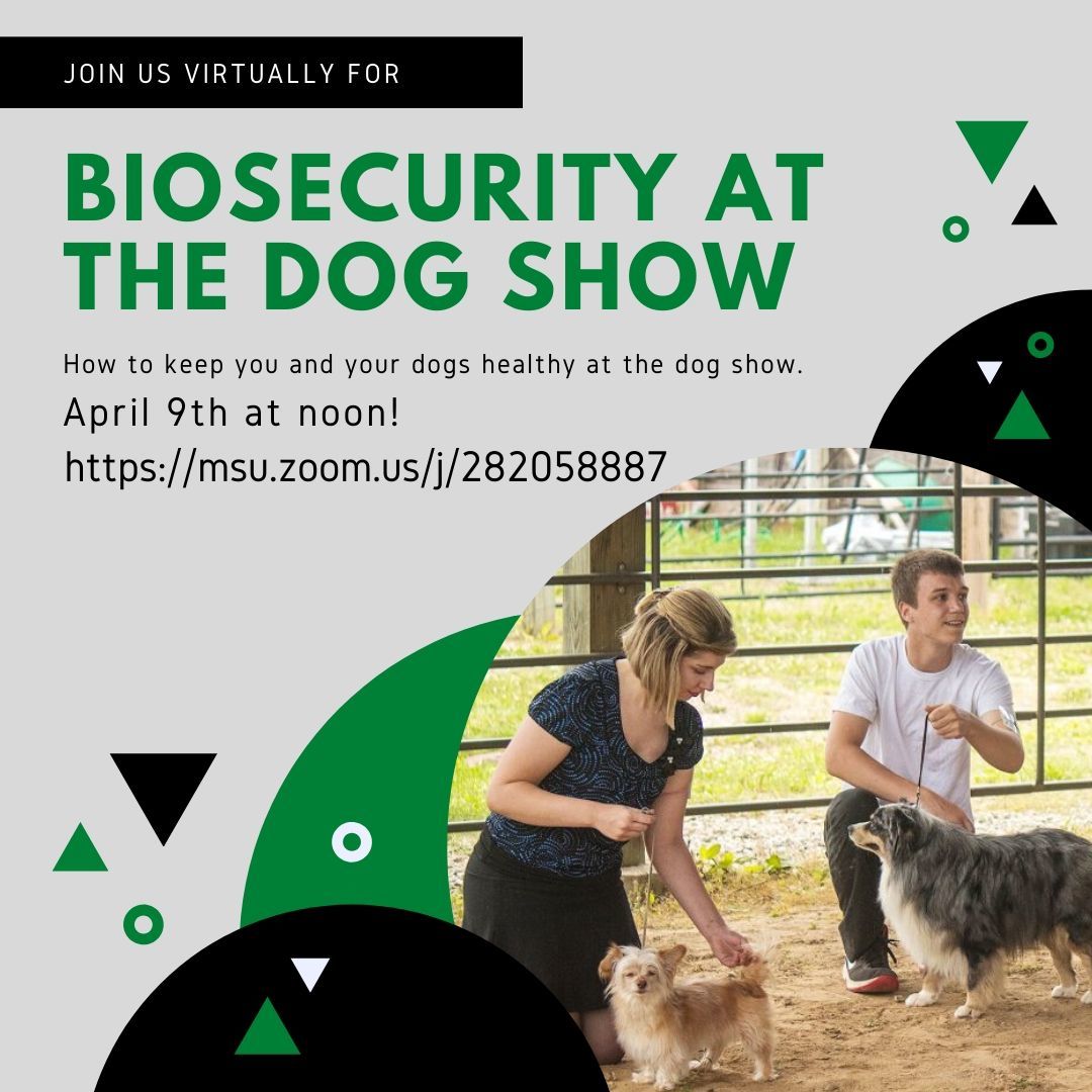 4-H Dog Show Biosecurity