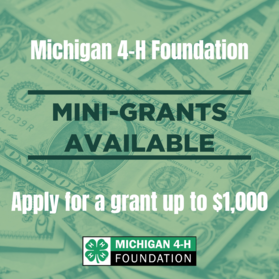 Mini Grants