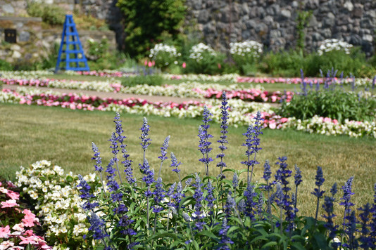 Cranbrook Gardens 2020