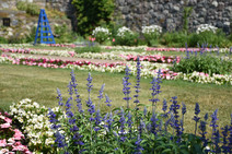 Cranbrook Gardens 2020
