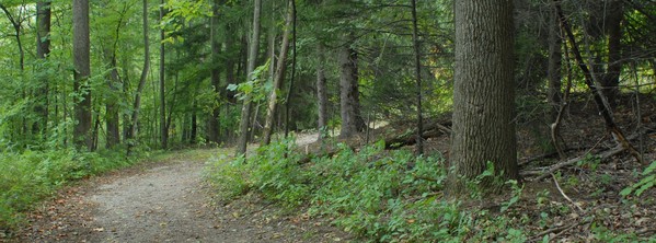 wint trail