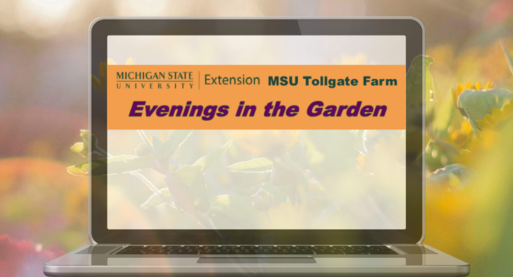 Evenings in the Garden Fall Online