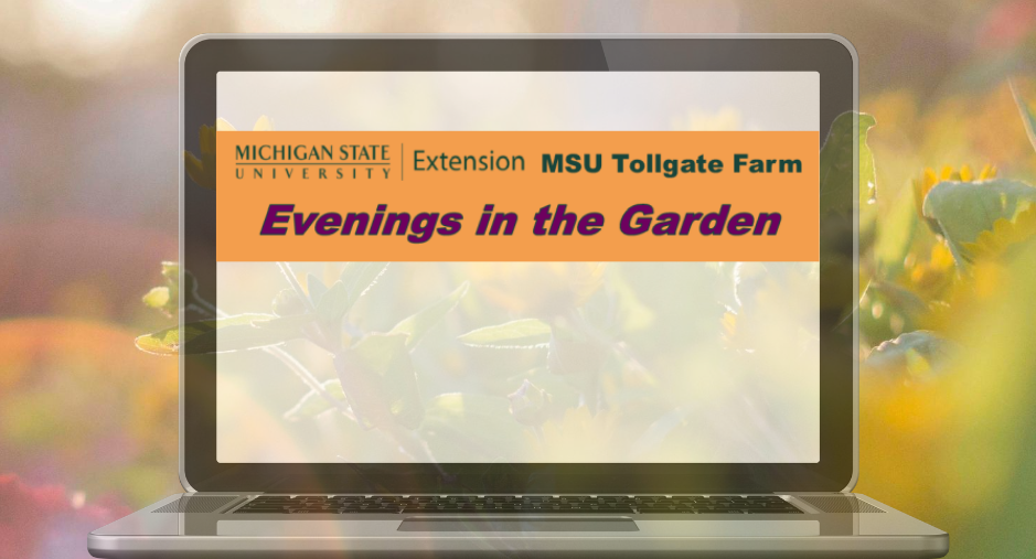 Evenings in the Garden Fall Online