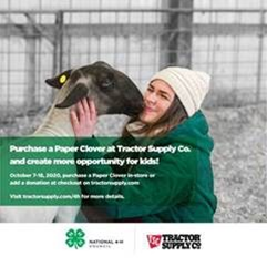 Support 4-H with the Tractor Supply Co. Paper Clover Campaign