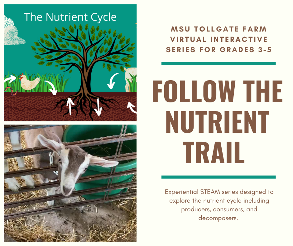 Follow the Nutrient Trail 
