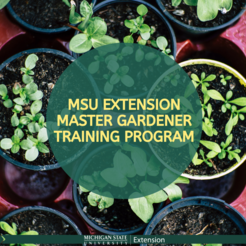 MSU Master Gardener Program Banner