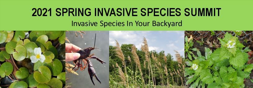 Invasive Species Summit
