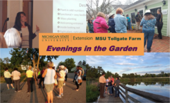 Evenings in the Garden postcard