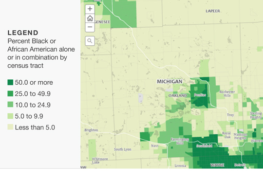 Black Demographics Map