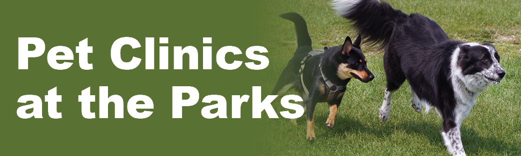 pet clinics at the park